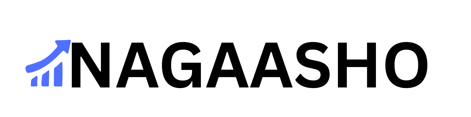 nagaasho.com